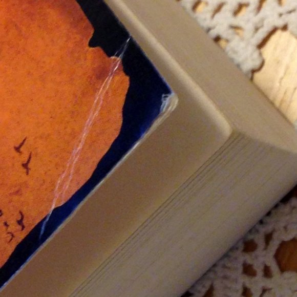 Historical Fiction,  Firebird, Suzanne Keasrsley - Picture 6 of 7